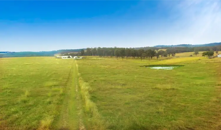 Main view of Homely rural property listing, 8012 Bruxner Highway, Tabulam NSW 2469