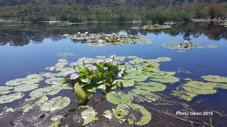 Fifth view of Homely land listing, Lot 3 Phyllis Price Drive, Moruya NSW 2537
