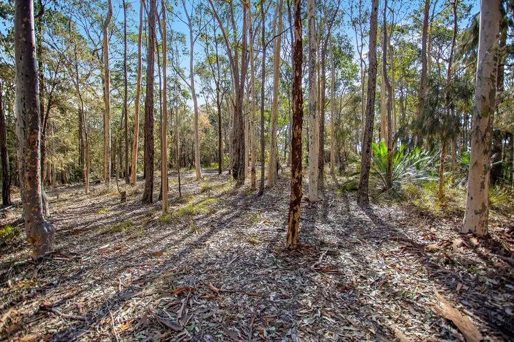 Sixth view of Homely land listing, Lot 3 Phyllis Price Drive, Moruya NSW 2537