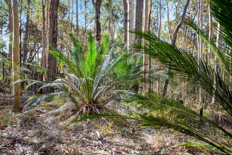 Seventh view of Homely land listing, Lot 3 Phyllis Price Drive, Moruya NSW 2537