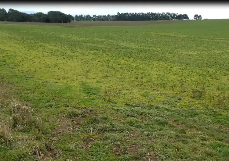 Fifth view of Homely rural property listing, 360 Dean-Mollongghip Road, Dean VIC 3363