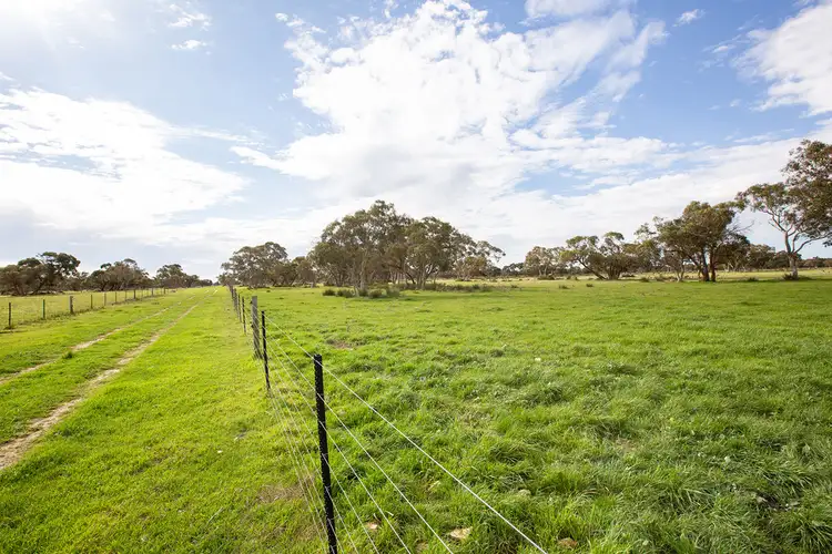 Fifth view of Homely rural property listing, 243 Williams Road, Kingston Se SA 5275