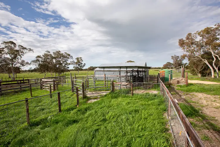 Sixth view of Homely rural property listing, 243 Williams Road, Kingston Se SA 5275