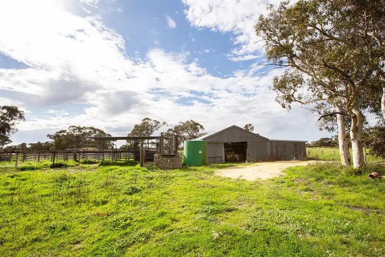 Seventh view of Homely rural property listing, 243 Williams Road, Kingston Se SA 5275