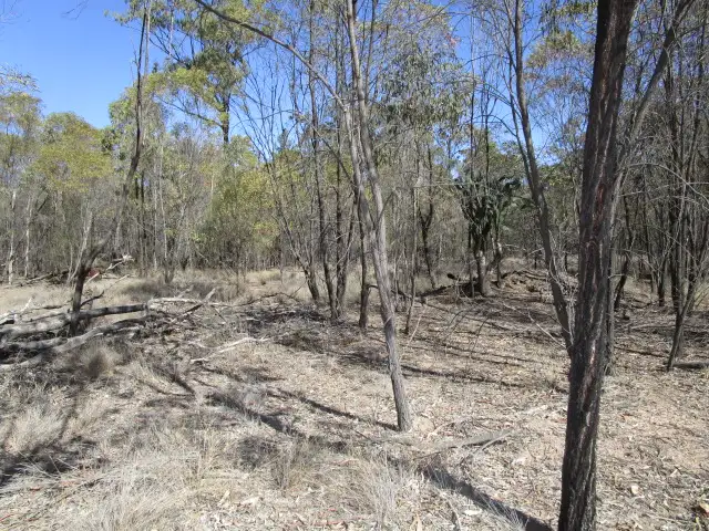 LOT 138 LUCKY ROAD, Tara QLD 4421