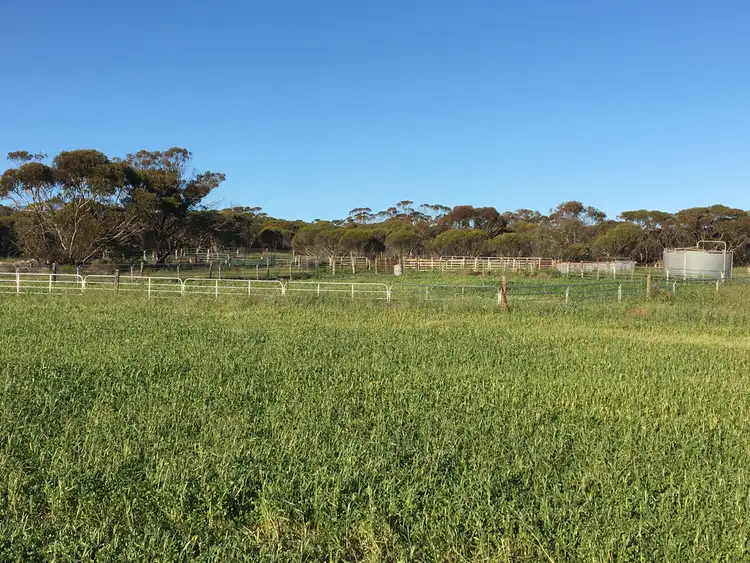 Third view of Homely rural property listing, 163 Edwards Rd, Darke Peak SA 5642