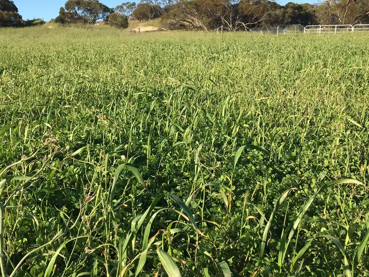 Sixth view of Homely rural property listing, 163 Edwards Rd, Darke Peak SA 5642