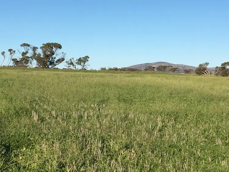 Seventh view of Homely rural property listing, 163 Edwards Rd, Darke Peak SA 5642
