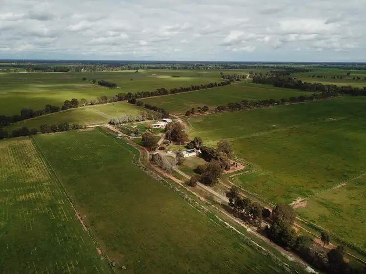 Main view of Homely rural property listing, 387 Peppertree Road, Tocumwal NSW 2714