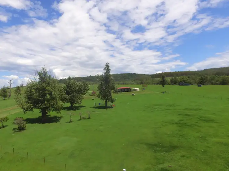 Third view of Homely rural property listing, 405 Farm Road, Bonalbo NSW 2469