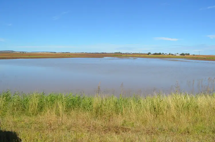 Fifth view of Homely rural property listing, 290 Umbiram Road, Wyreema QLD 4352