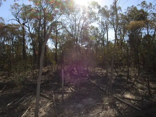 Main view of Homely rural property listing, LOT 51 ARNOLDS ROAD, Tara QLD 4421