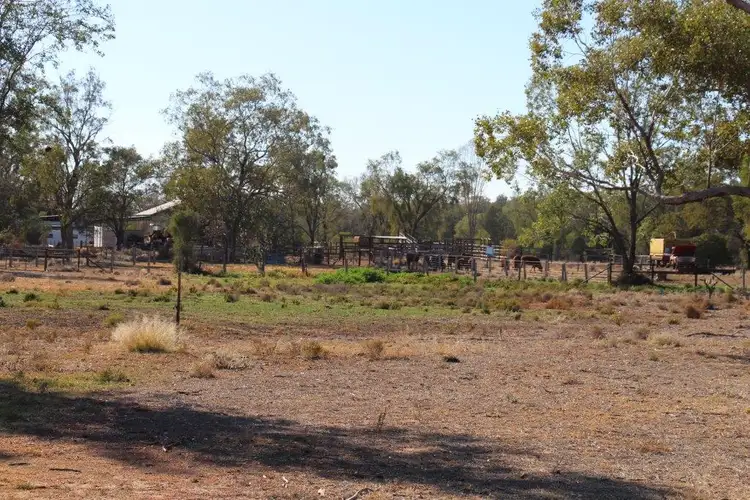 Seventh view of Homely rural property listing, 197 Bonyi Rd, Goondiwindi QLD 4390