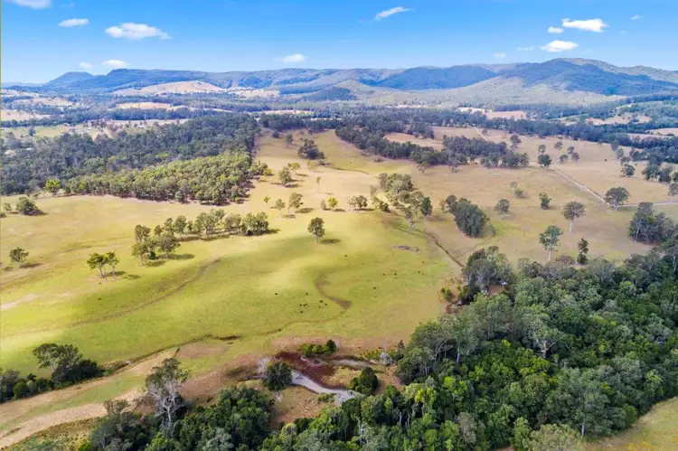 Seventh view of Homely rural property listing, 78-100 Cedar Creek Road, Belli Park QLD 4562