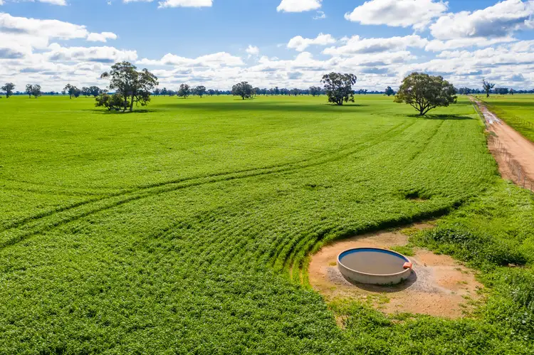 Fourth view of Homely rural property listing, 'INGLEBAR' SPRING DRIVE, Mulwala NSW 2647