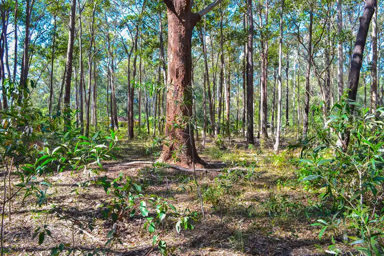 Main view of Homely land listing, Lot 6 West Street, Woombah NSW 2469