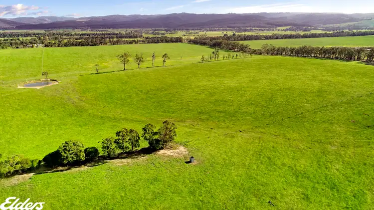 Dog Trap Road, Won Wron VIC 3971