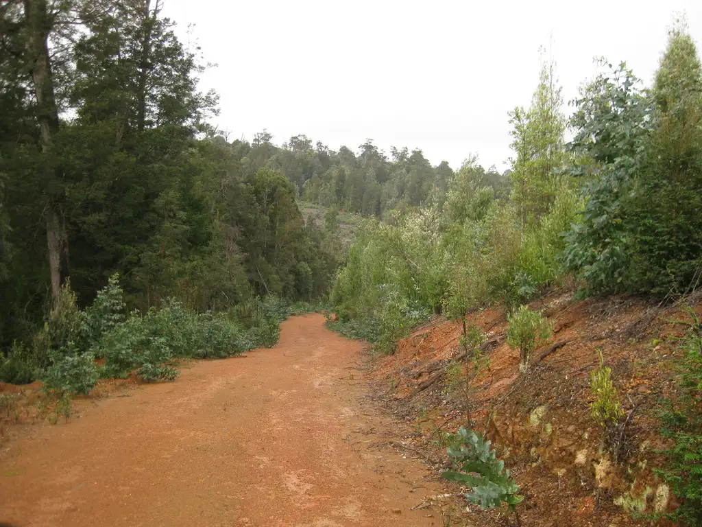 Main view of Homely rural property listing, . Roger River Road, Roger River TAS 7330