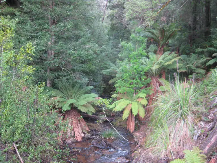 Fourth view of Homely rural property listing, . Roger River Road, Roger River TAS 7330