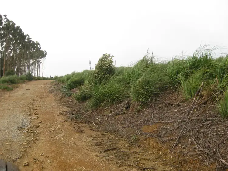 Fifth view of Homely rural property listing, . Roger River Road, Roger River TAS 7330