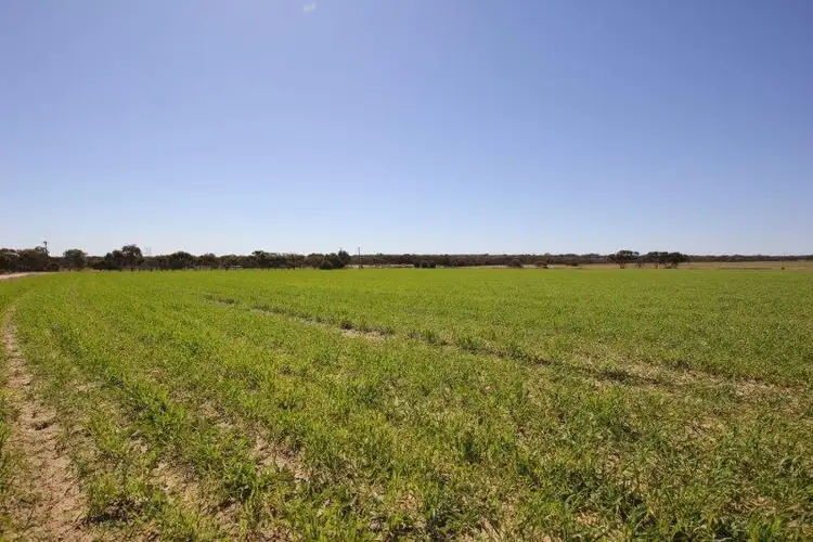 Fourth view of Homely rural property listing, 24346 Great Eastern Highway, Merredin WA 6415