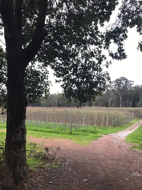 Second view of Homely rural property listing, 2264 KINGSBURY DRIVE, Jarrahdale WA 6124