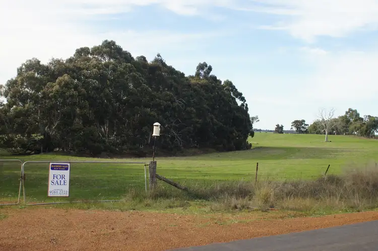 Lot 50 Area Road