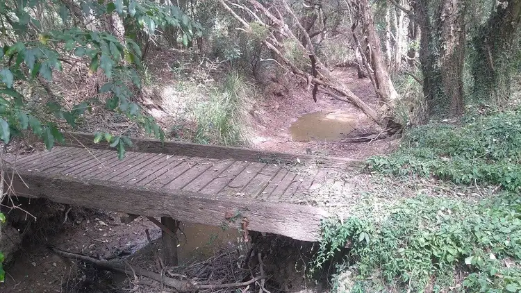 Sixth view of Homely land listing, Lot 3 Old Goomboorian Road, Veteran QLD 4570