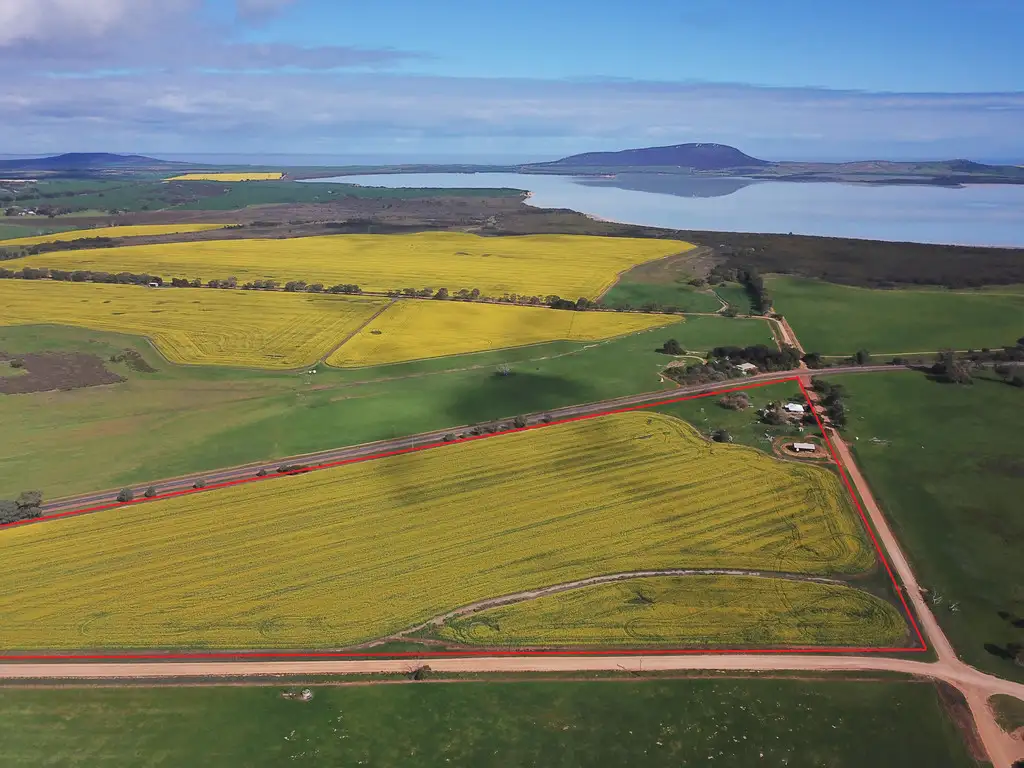 Main view of Homely house listing, 14 Gap Road, Coulta SA 5607