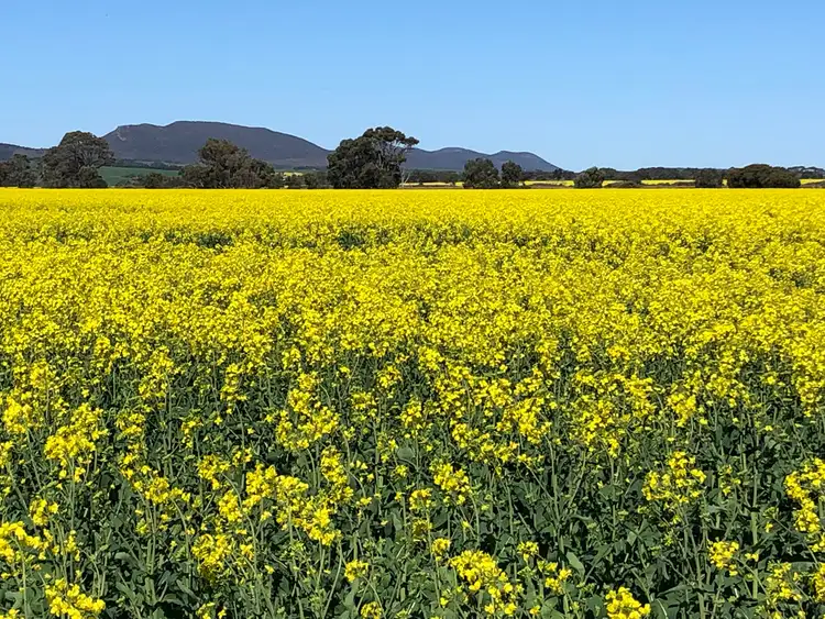 Third view of Homely house listing, 14 Gap Road, Coulta SA 5607