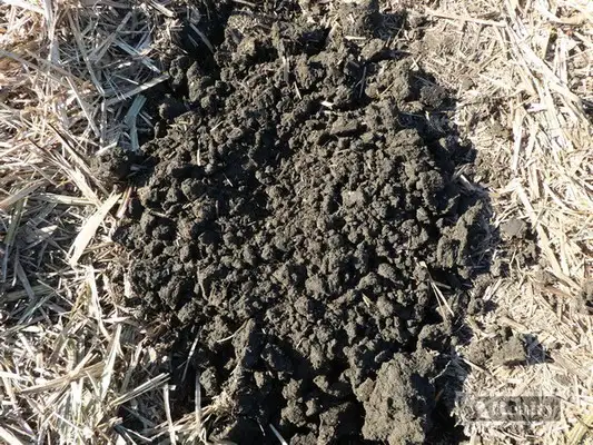 Sixth view of Homely rural property listing, Address available on request