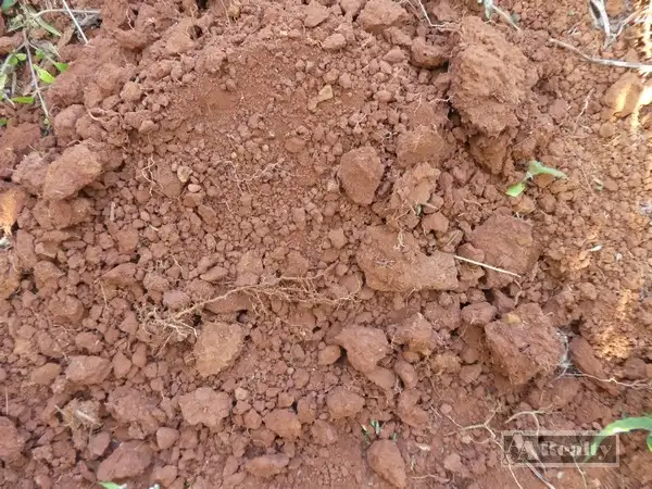 Seventh view of Homely rural property listing, Address available on request