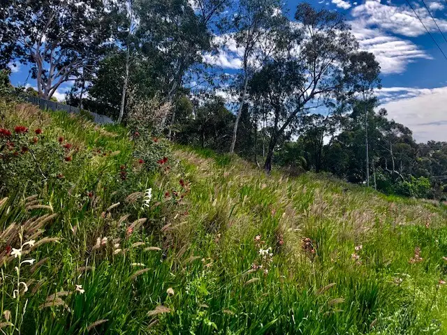 Main view of Homely land listing, 15 Dryandra Crescent, Darlington WA 6070