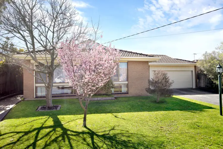 Second view of Homely house listing, 12 Pinecrest Drive, Highton VIC 3216