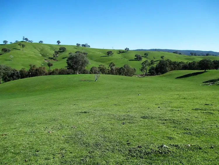 Sixth view of Homely rural property listing, 160 Frees Road, Gobur VIC 3719
