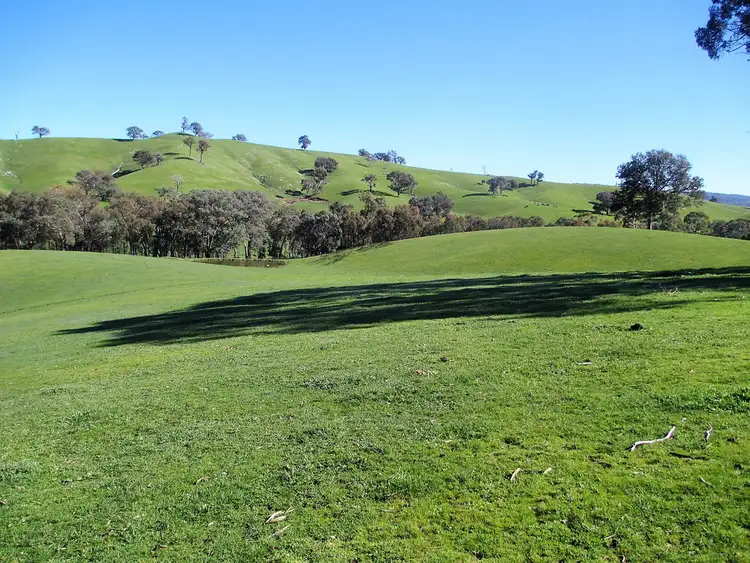 Seventh view of Homely rural property listing, 160 Frees Road, Gobur VIC 3719