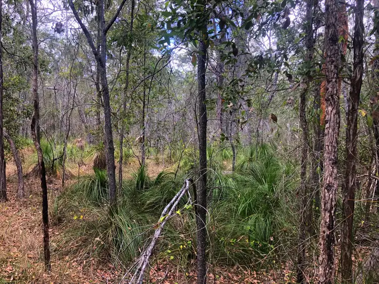 Second view of Homely land listing, 176 Davies Road, Captain Creek QLD 4677