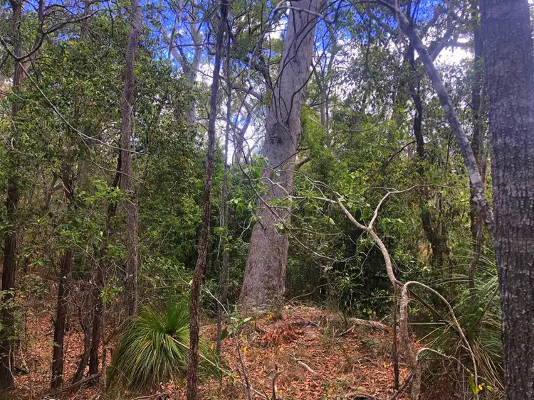Third view of Homely land listing, 176 Davies Road, Captain Creek QLD 4677