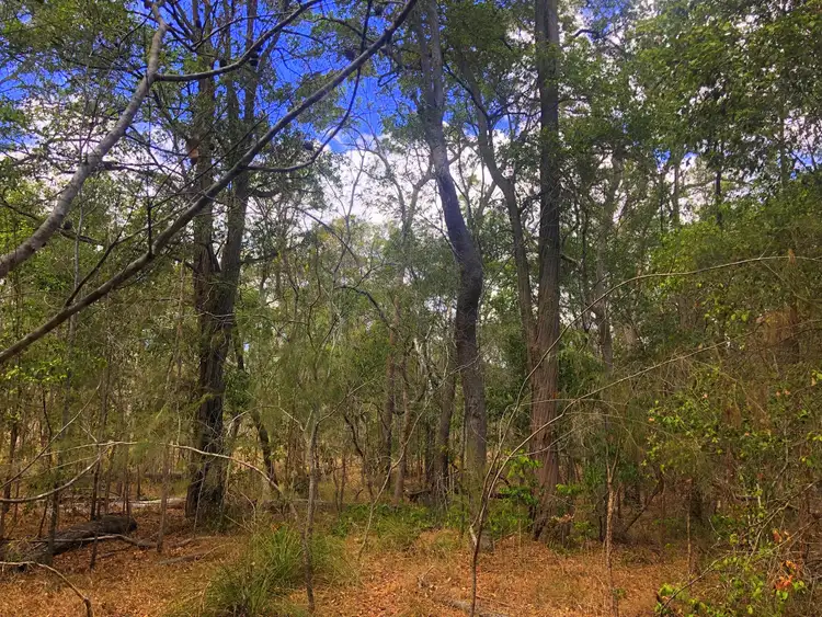 Fifth view of Homely land listing, 176 Davies Road, Captain Creek QLD 4677