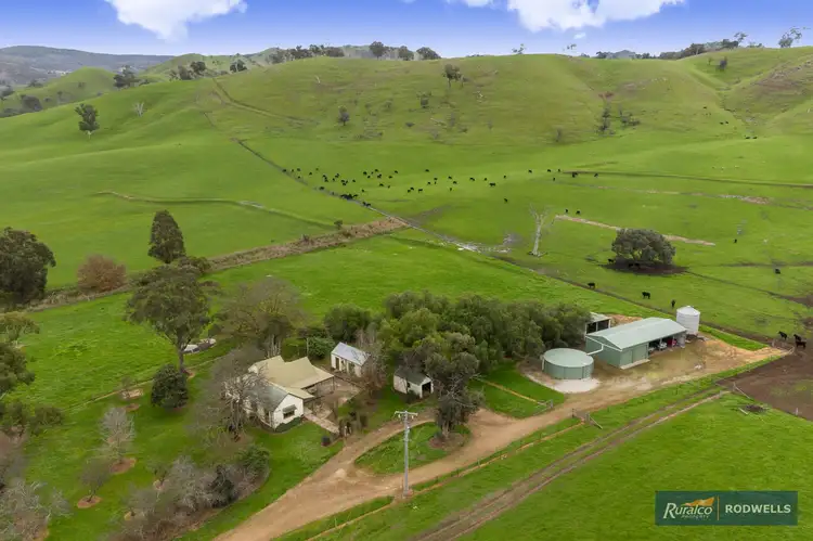Second view of Homely rural property listing, 55 Upper King Parrot Creek Road, Strath Creek VIC 3658