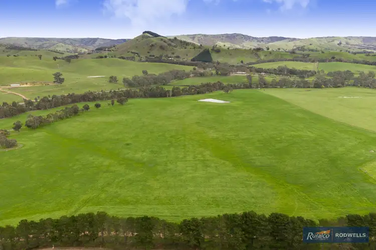 Third view of Homely rural property listing, 55 Upper King Parrot Creek Road, Strath Creek VIC 3658