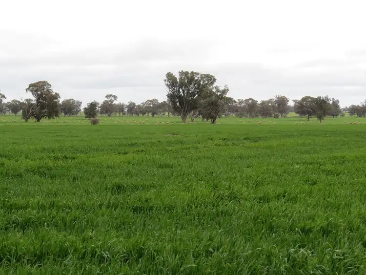 123 YARRAWONGA ROAD, Berrigan NSW 2712