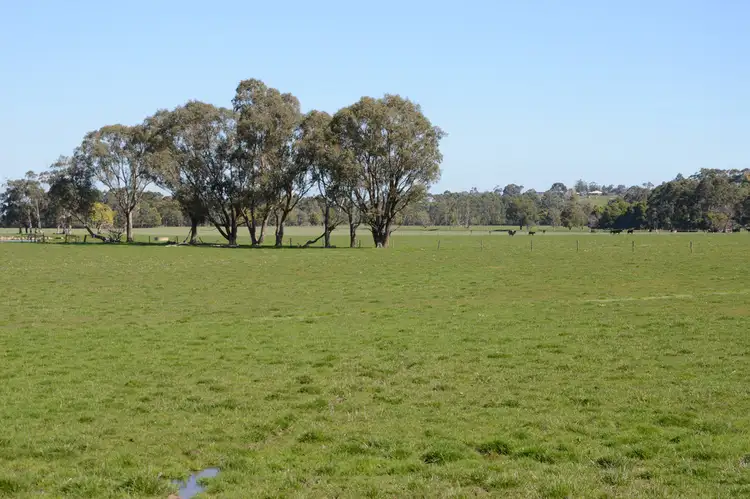 Fifth view of Homely rural property listing, 157 FERRIERS ROAD, Loch VIC 3945