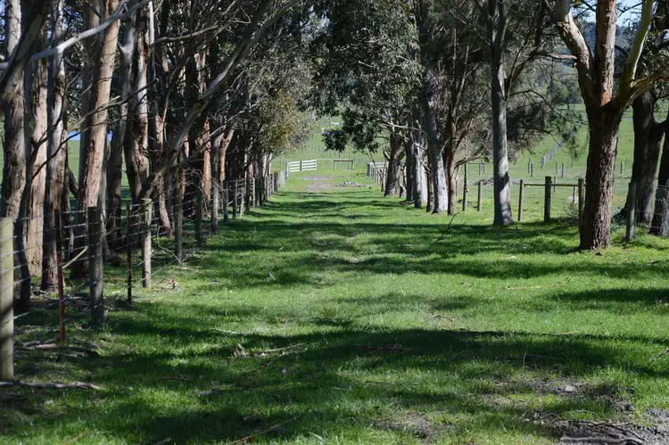 Sixth view of Homely rural property listing, 157 FERRIERS ROAD, Loch VIC 3945