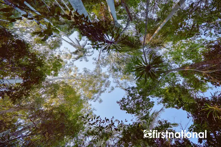 101-103 Licuala Drive, Tamborine Mountain QLD 4272