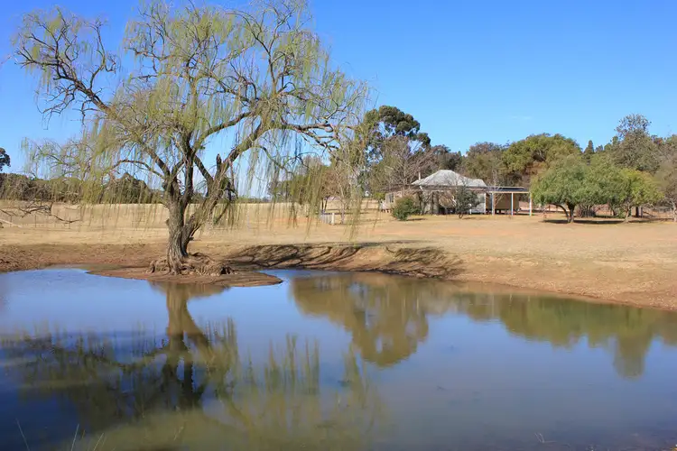 1564 MOUNT HOPE ROAD, Coolah NSW 2843