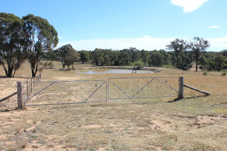 Sixth view of Homely rural property listing, 1564 MOUNT HOPE ROAD, Coolah NSW 2843