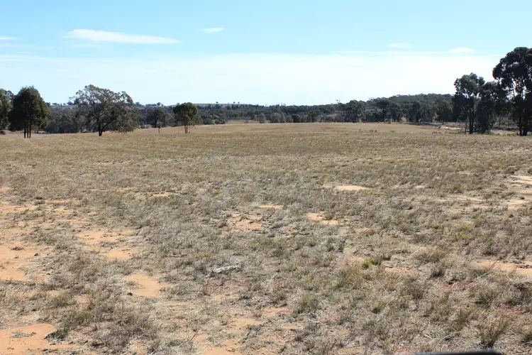 Seventh view of Homely rural property listing, 1564 MOUNT HOPE ROAD, Coolah NSW 2843