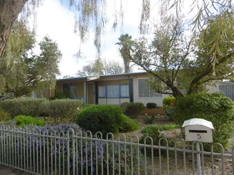 Main view of Homely house listing, 5 John Street, Jamestown SA 5491