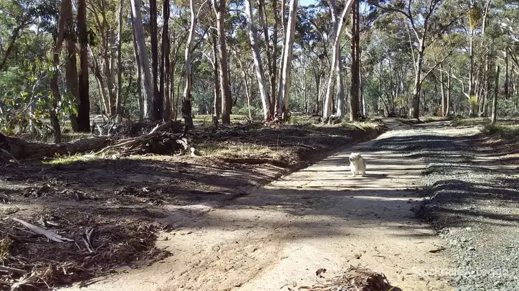 Lot 4, 100 Old Werona Road, Kooroocheang VIC 3364